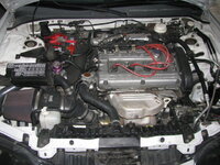 img2056zf7.jpg