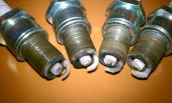 spark plugs.JPG