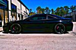 Wingless2