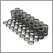 Valve Spring/Retainer Kit