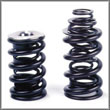Dual Valve Spring/Retainer Kit