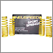 Race Lowering Springs