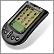 palm-105.jpg