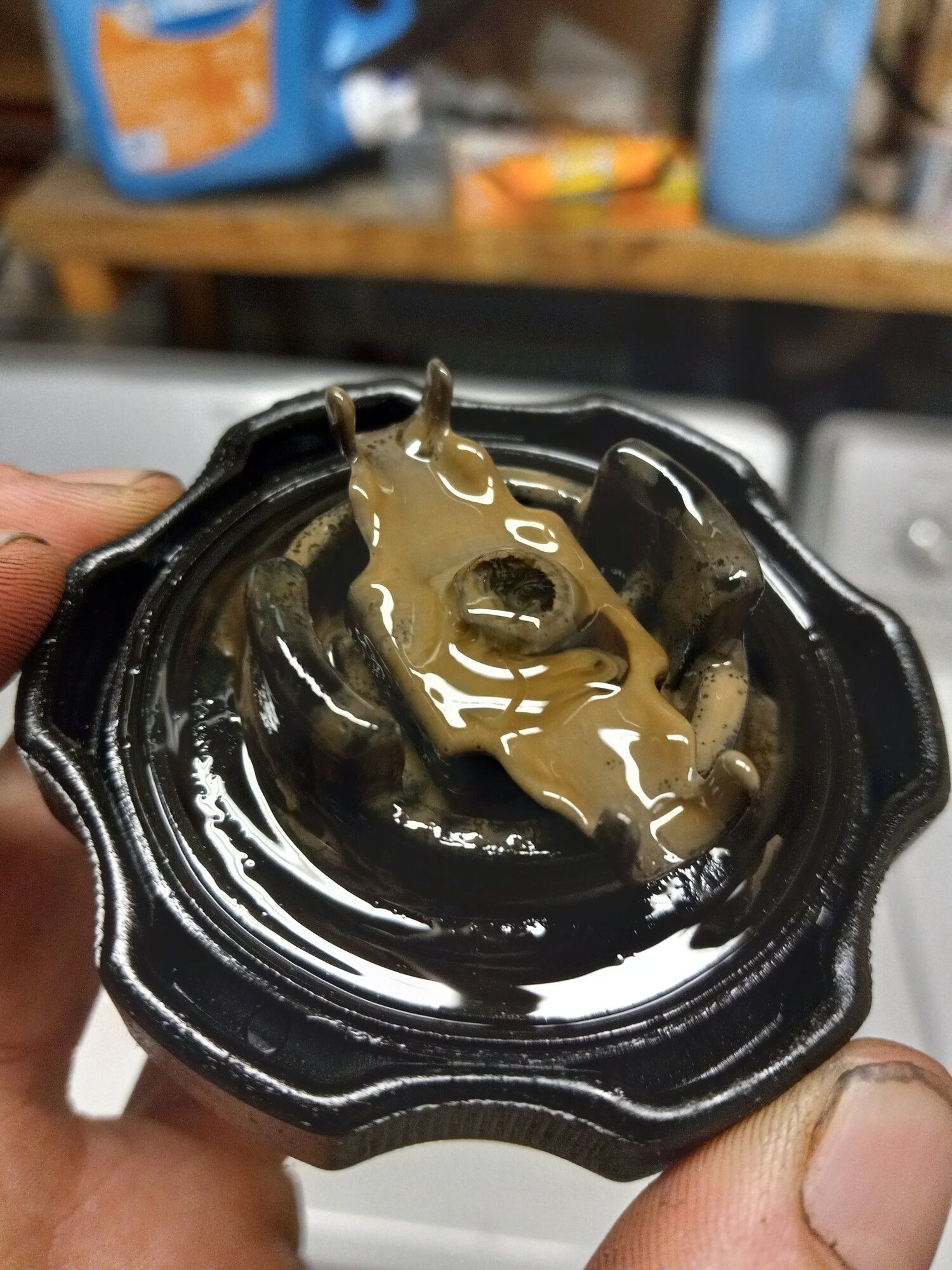 02_282023.jpg
