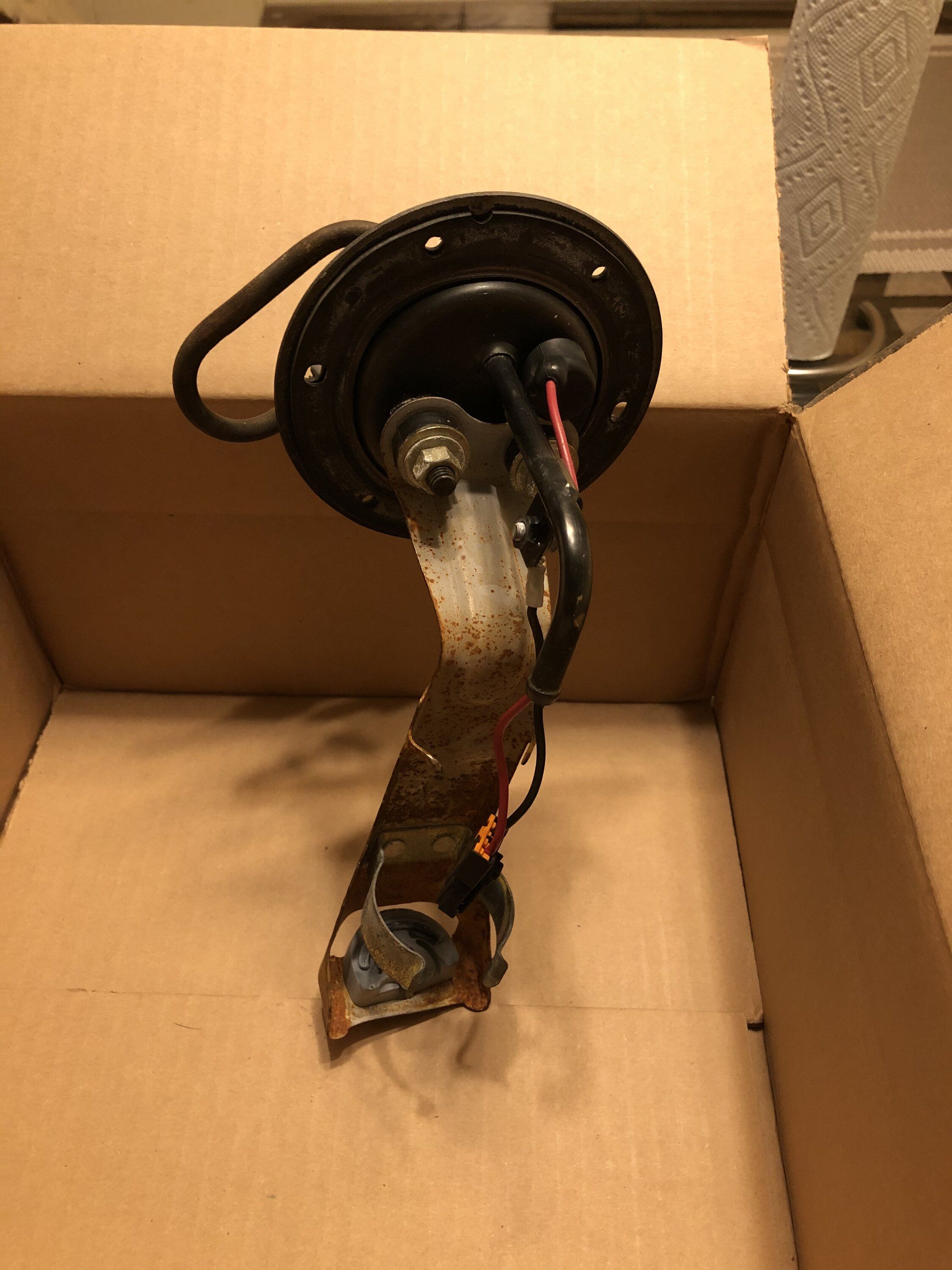 0EDD9721-C536-49B0-9E06-D0EEAB508277.jpeg
