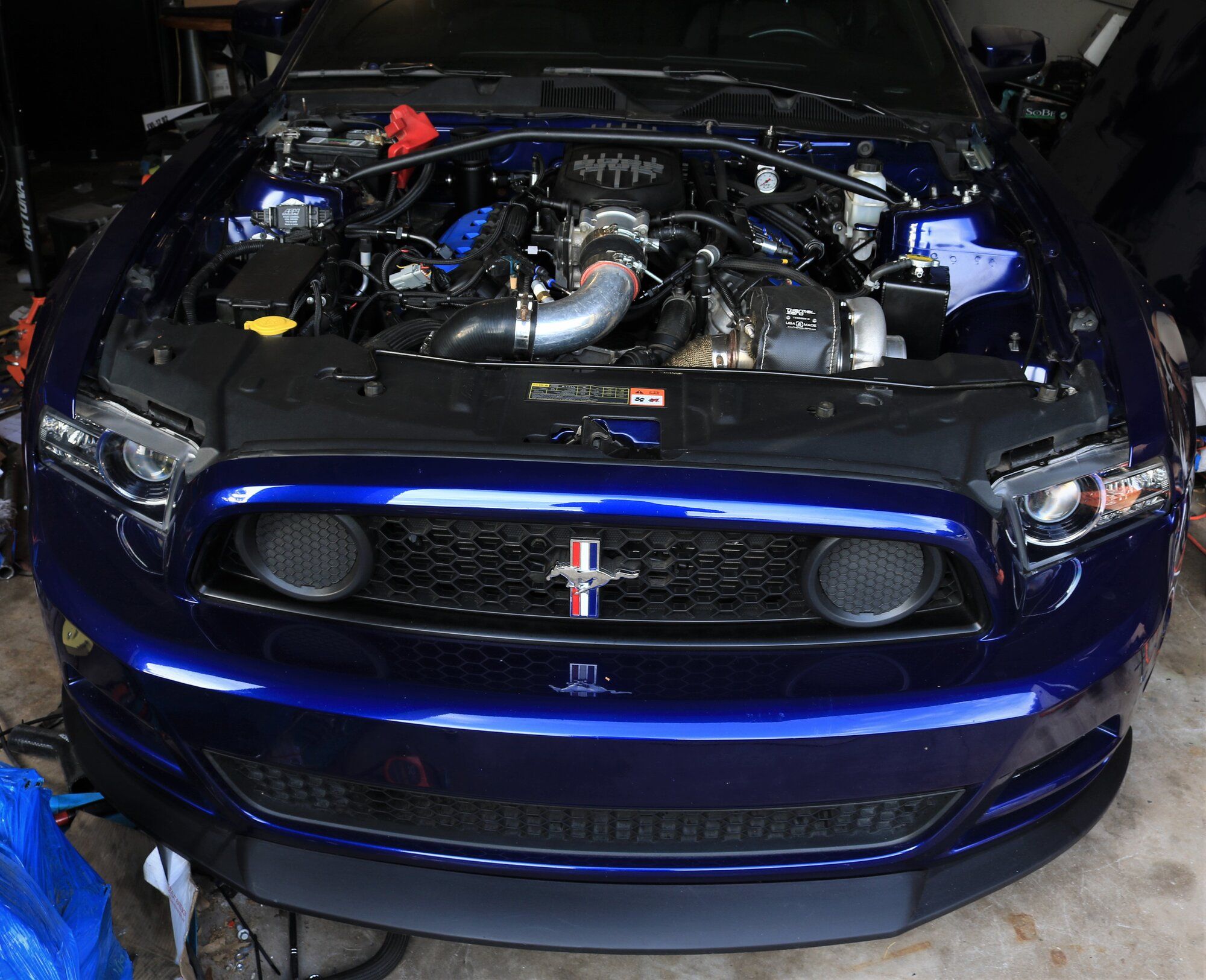 0R5A2195 (2).JPG