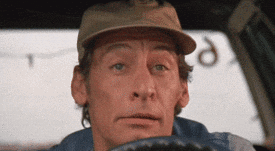 1000000390.gif