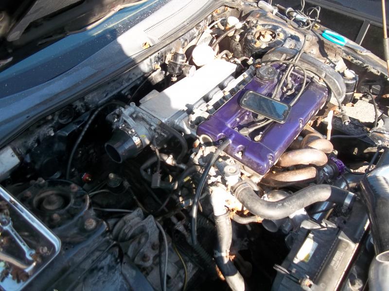 100_0809_zps2fc94950.jpg