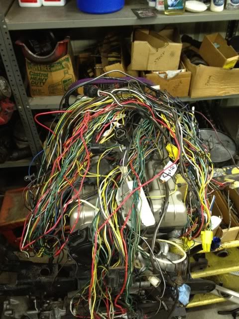 1122.jpg