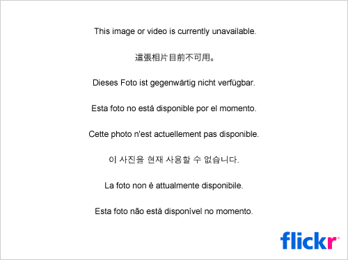 14957044276_24af4c579f_b.jpg