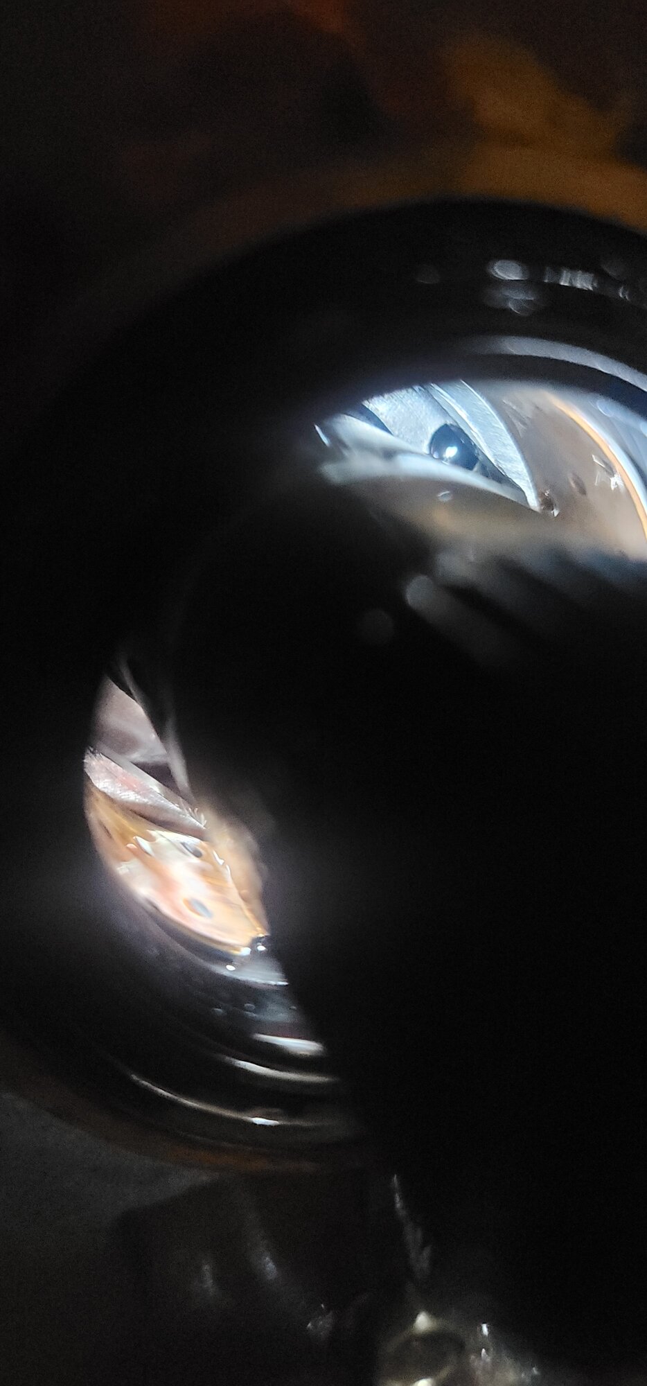 17457223339553988970102549544905.jpg