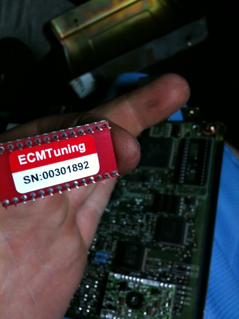 1b5024cf.jpg