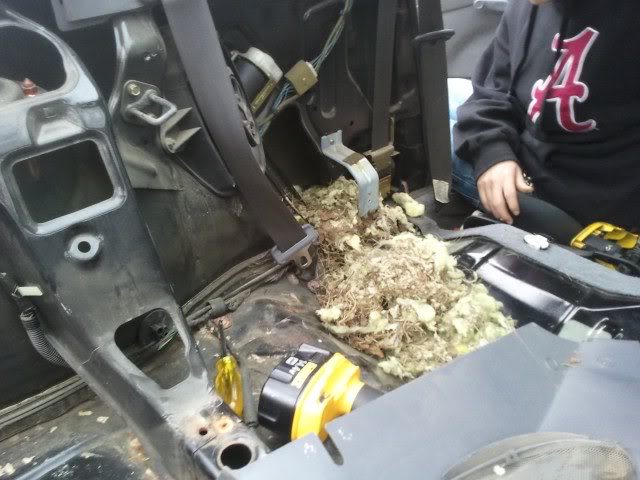 2011-11-12143744.jpg
