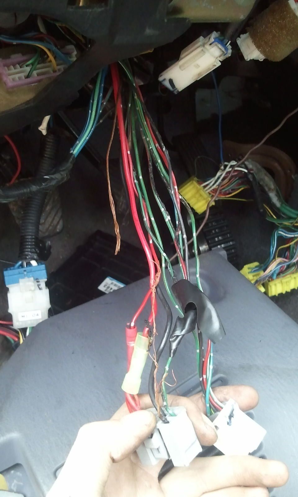 2011-11-15120042.jpg