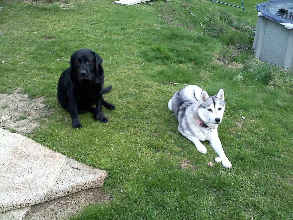 20120411183825.jpg
