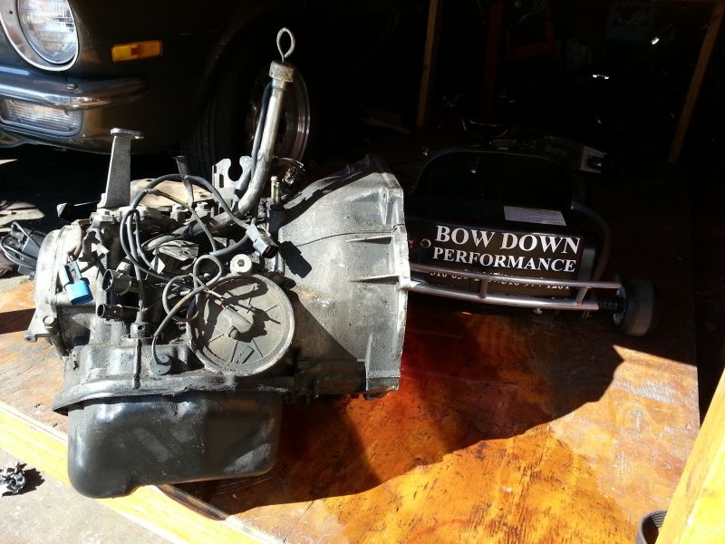 20130214_140824_zps86ea9da5.jpg
