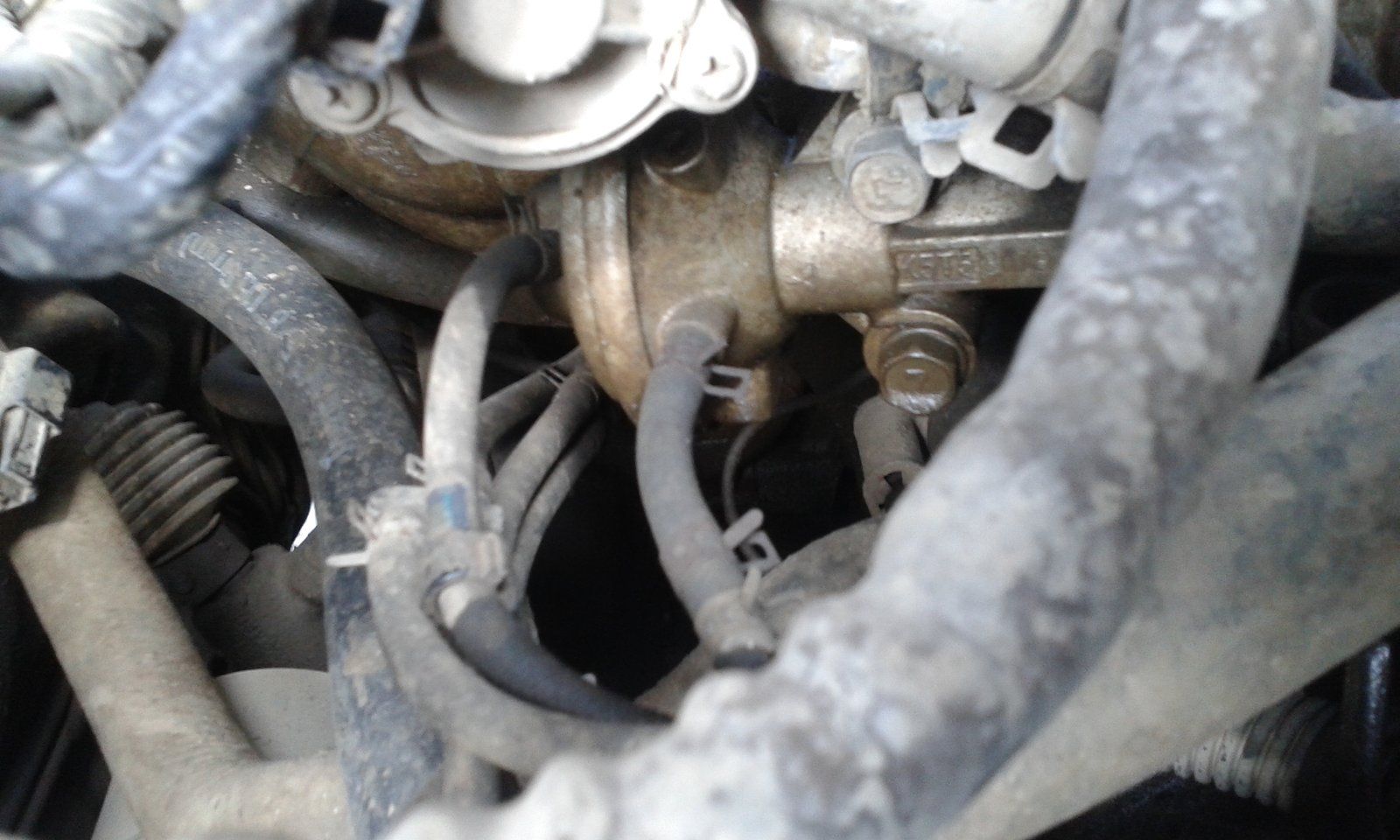20160131_124403.jpg