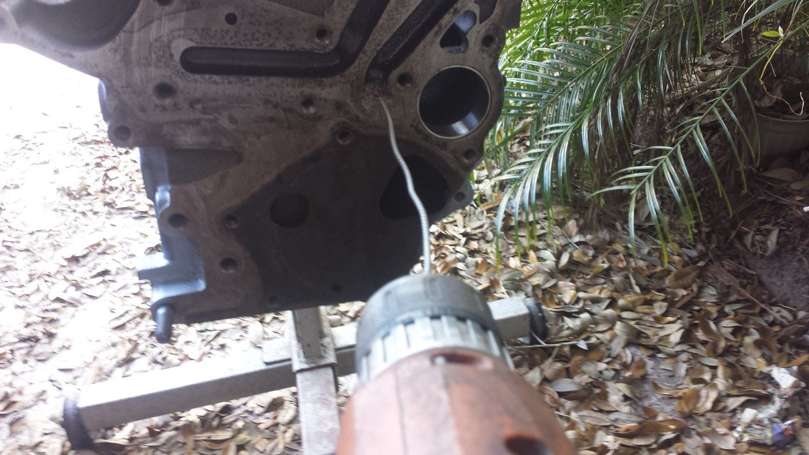 20160311_135457.jpg