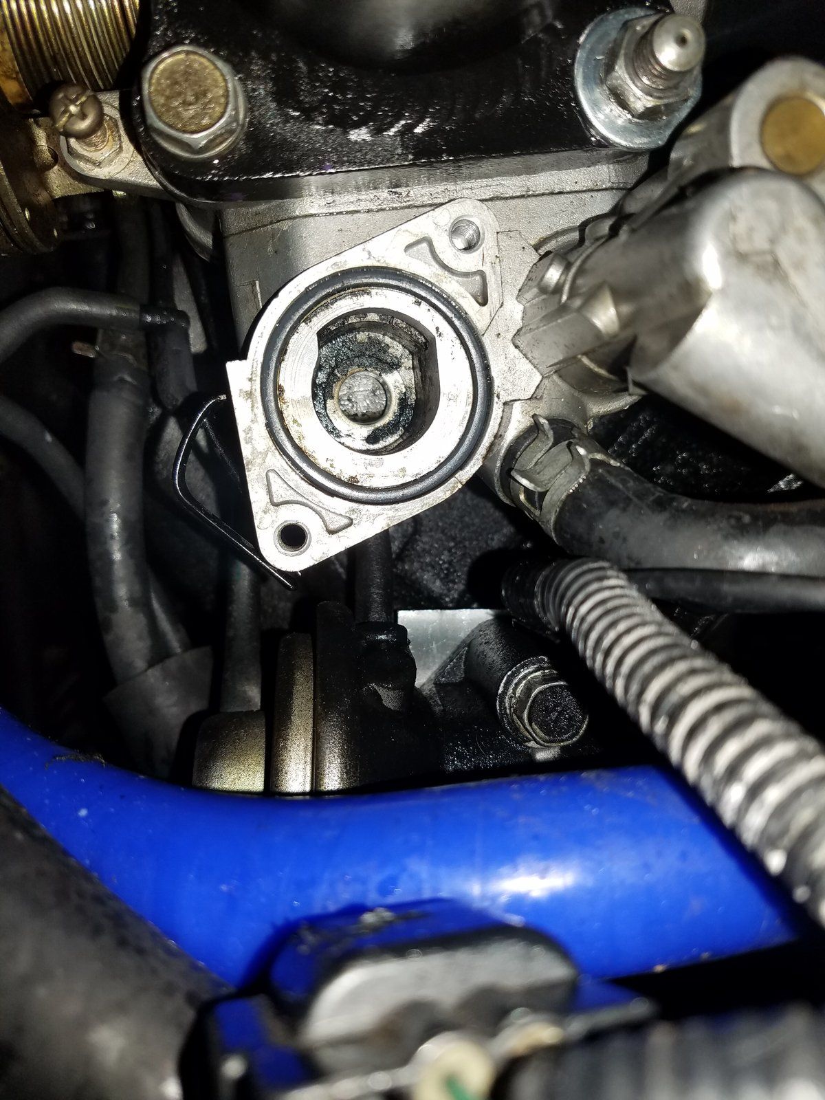 20171128_215648.jpg