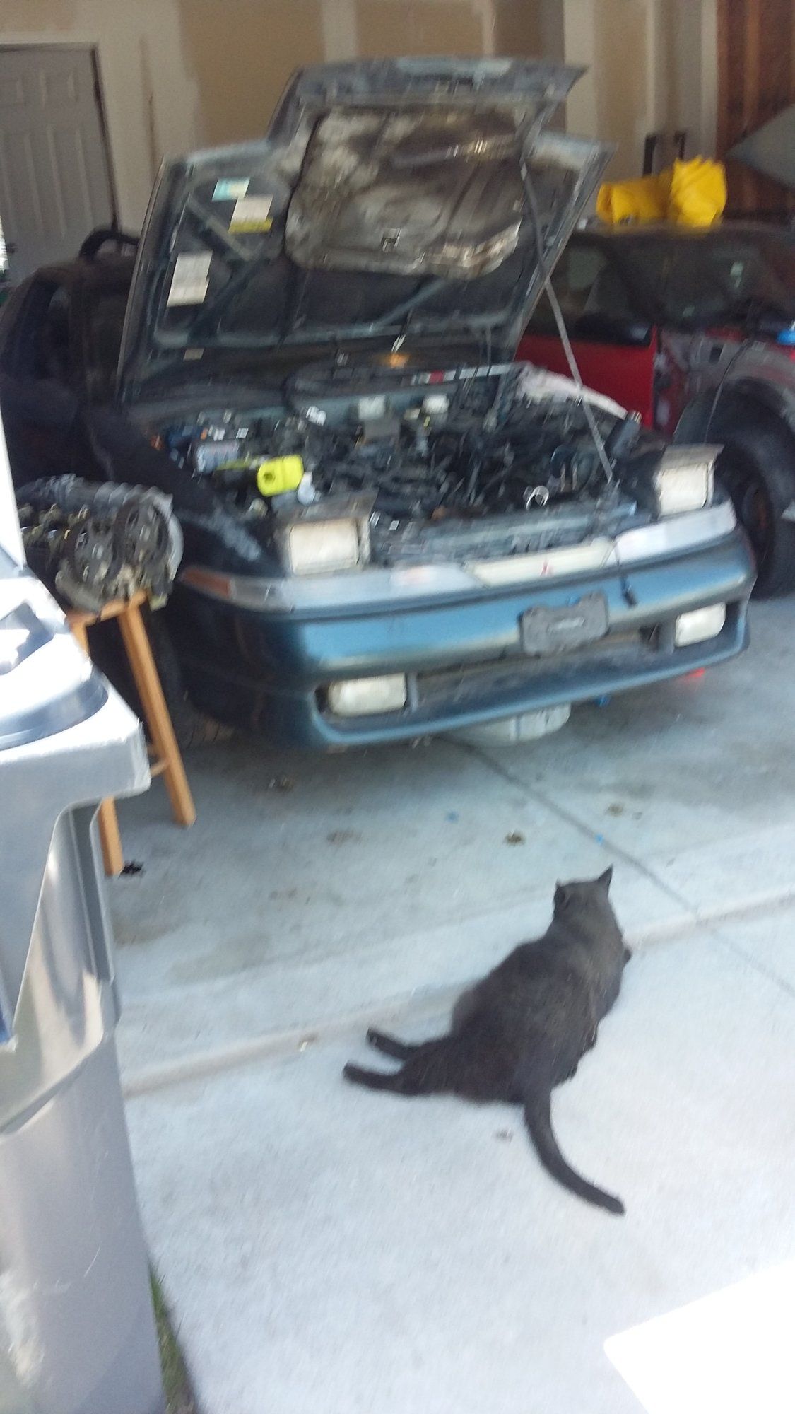 20180423_131325.jpg