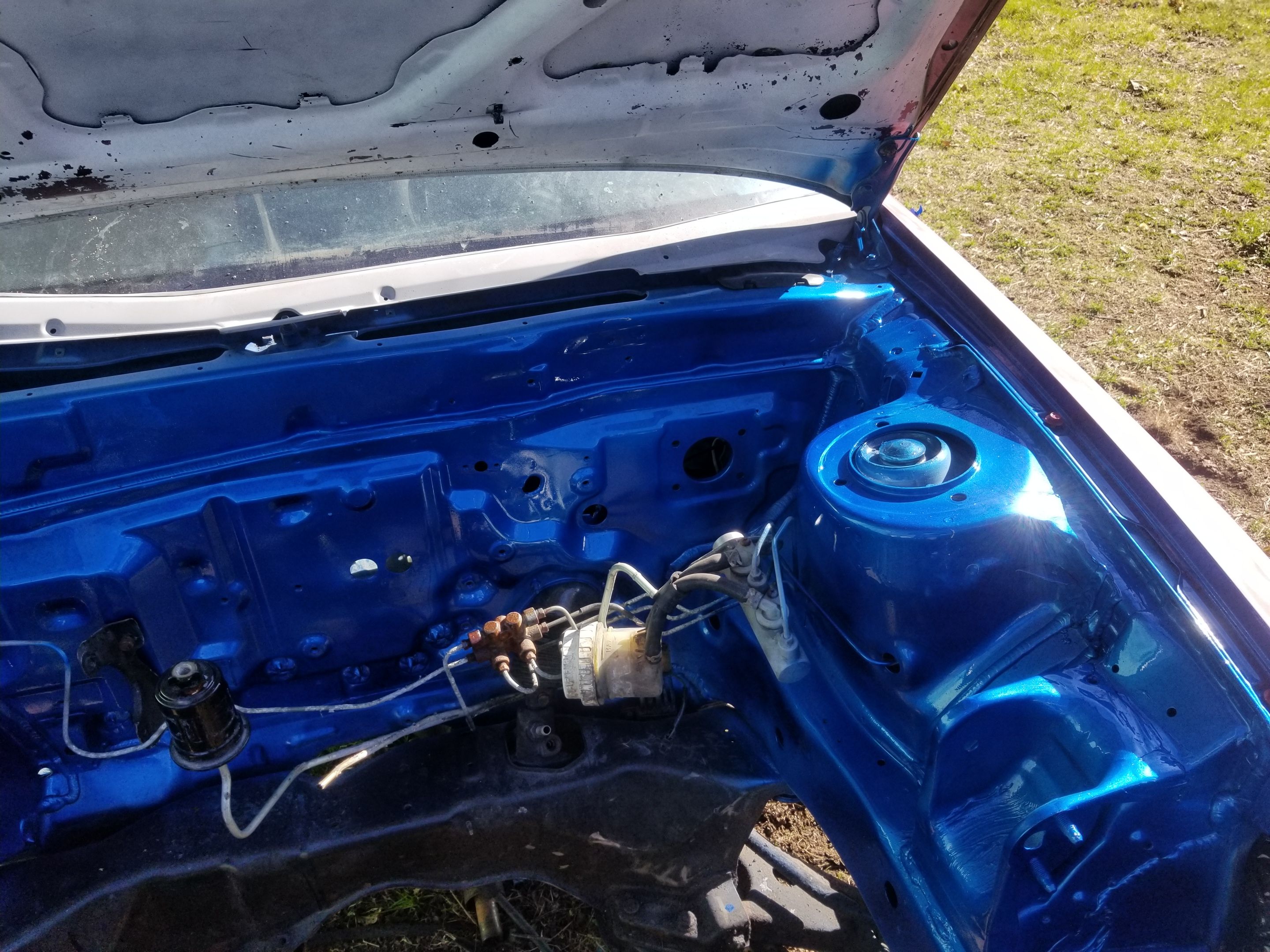 20180428_172226.jpg