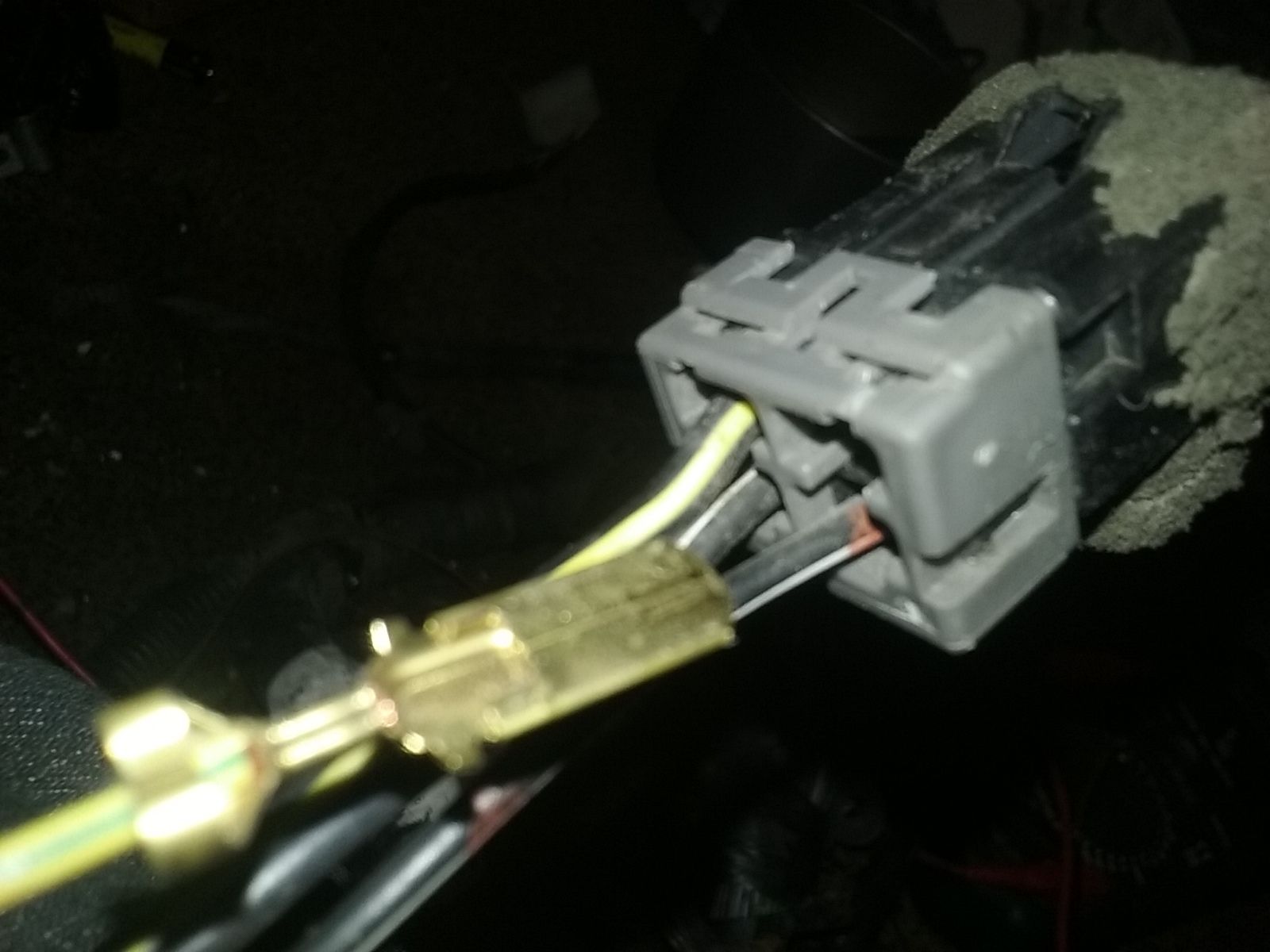 20190129_030854[1].jpg