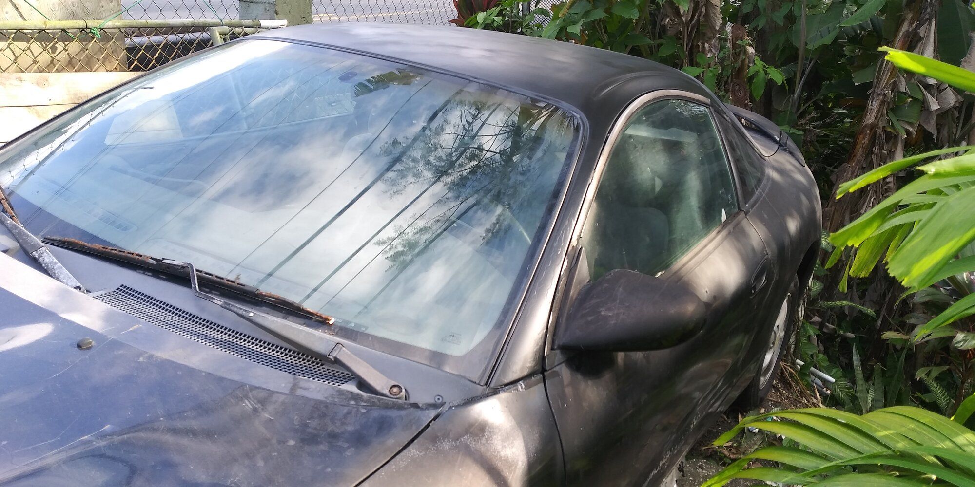 20210411_171314_HDR.jpg