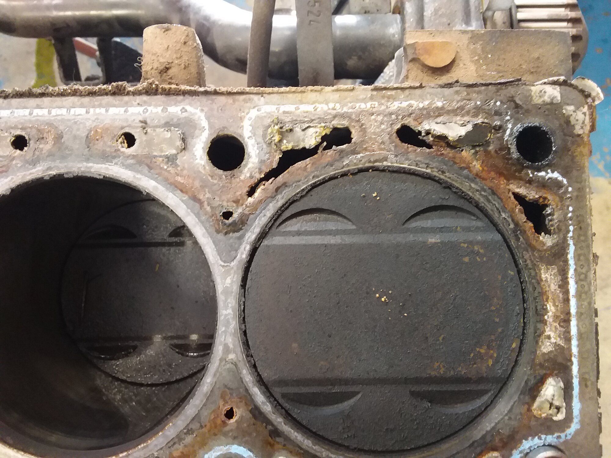 20220531_081249.jpg
