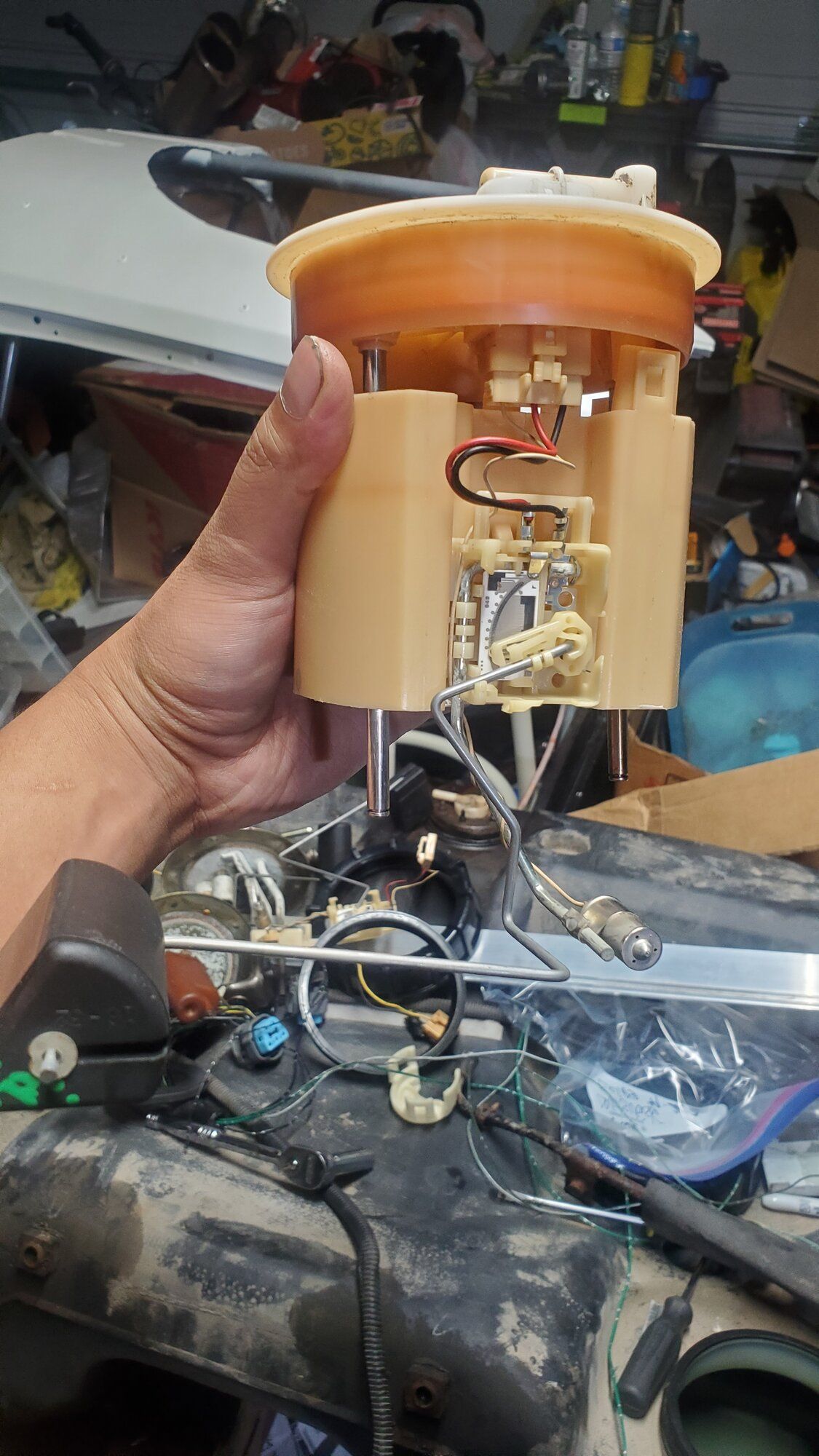 20220809_062916.jpg