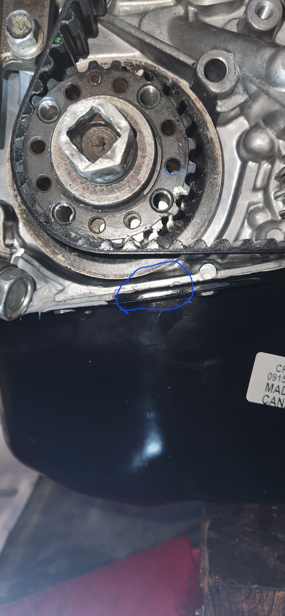20240422_150449.jpg