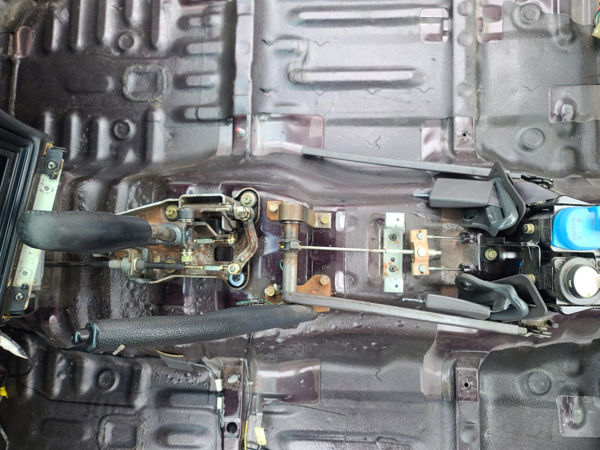 20240529_115601.jpg