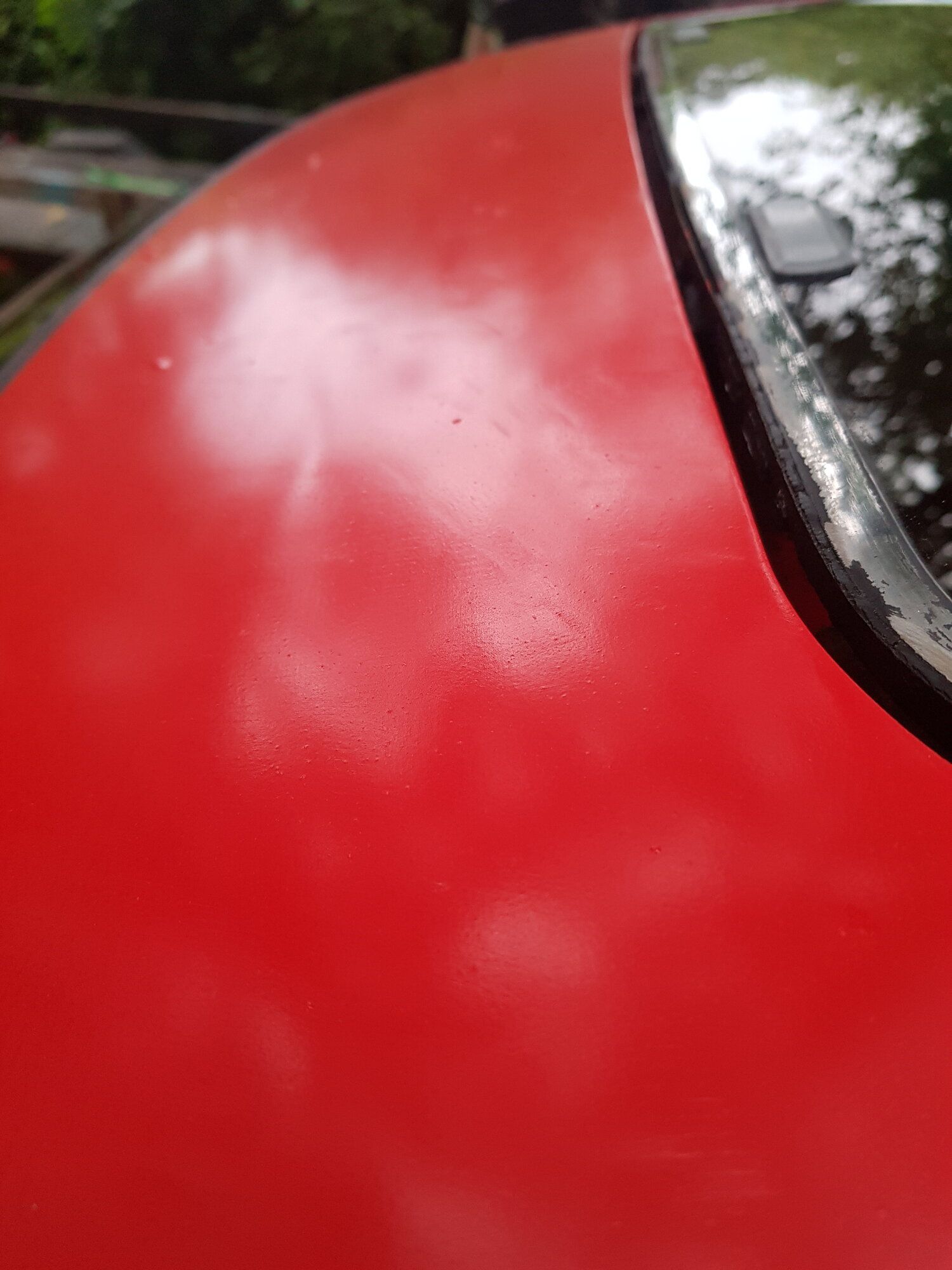 20240618_193310.jpg