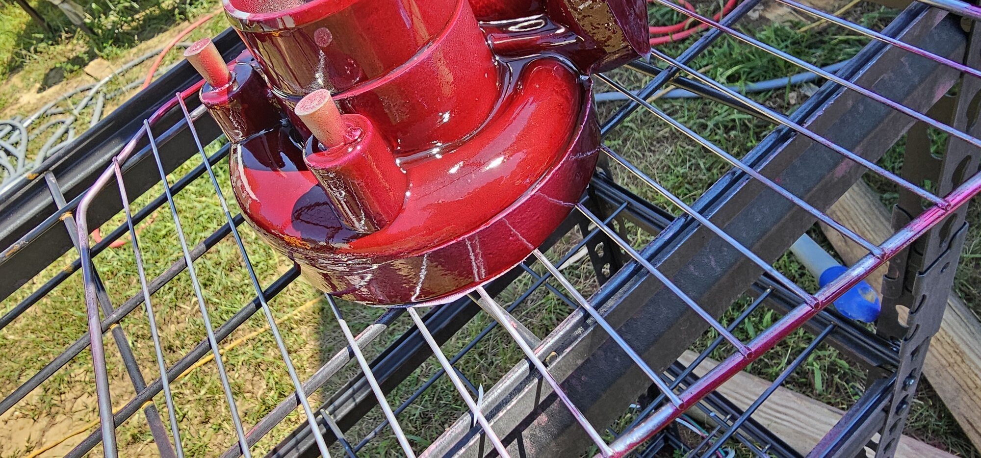 20240921_123626.jpg
