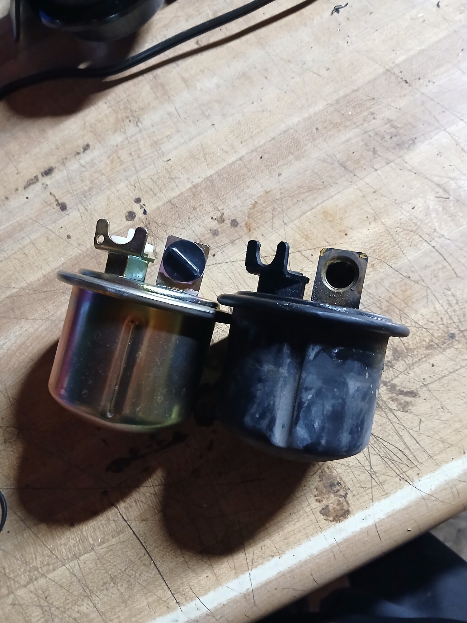20240921_151228.jpg