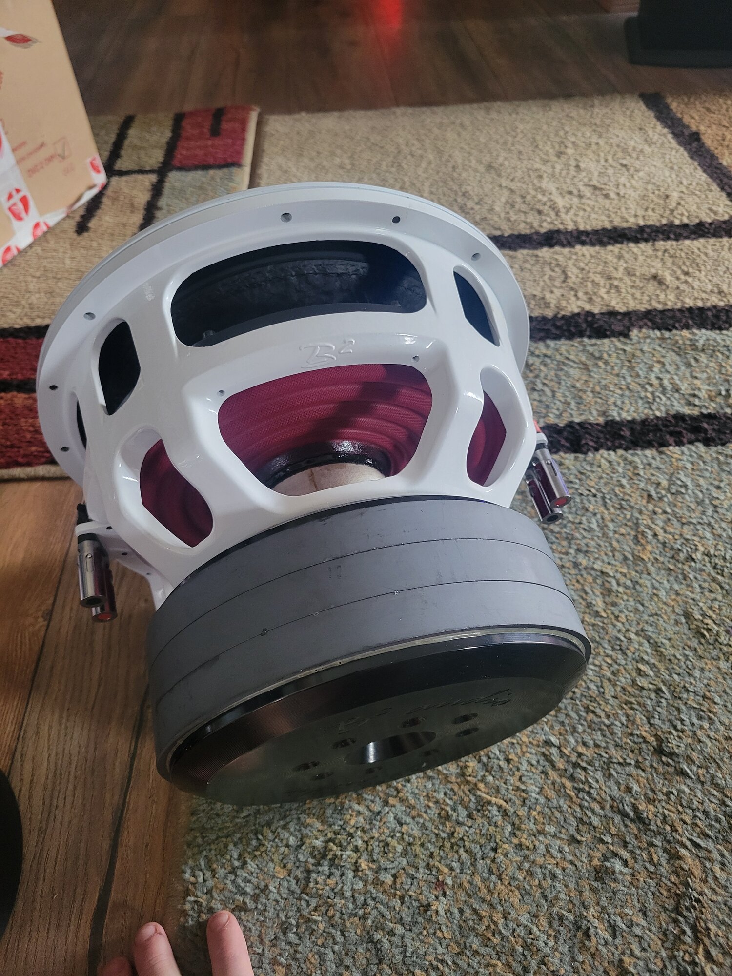 20250425_104719.jpg