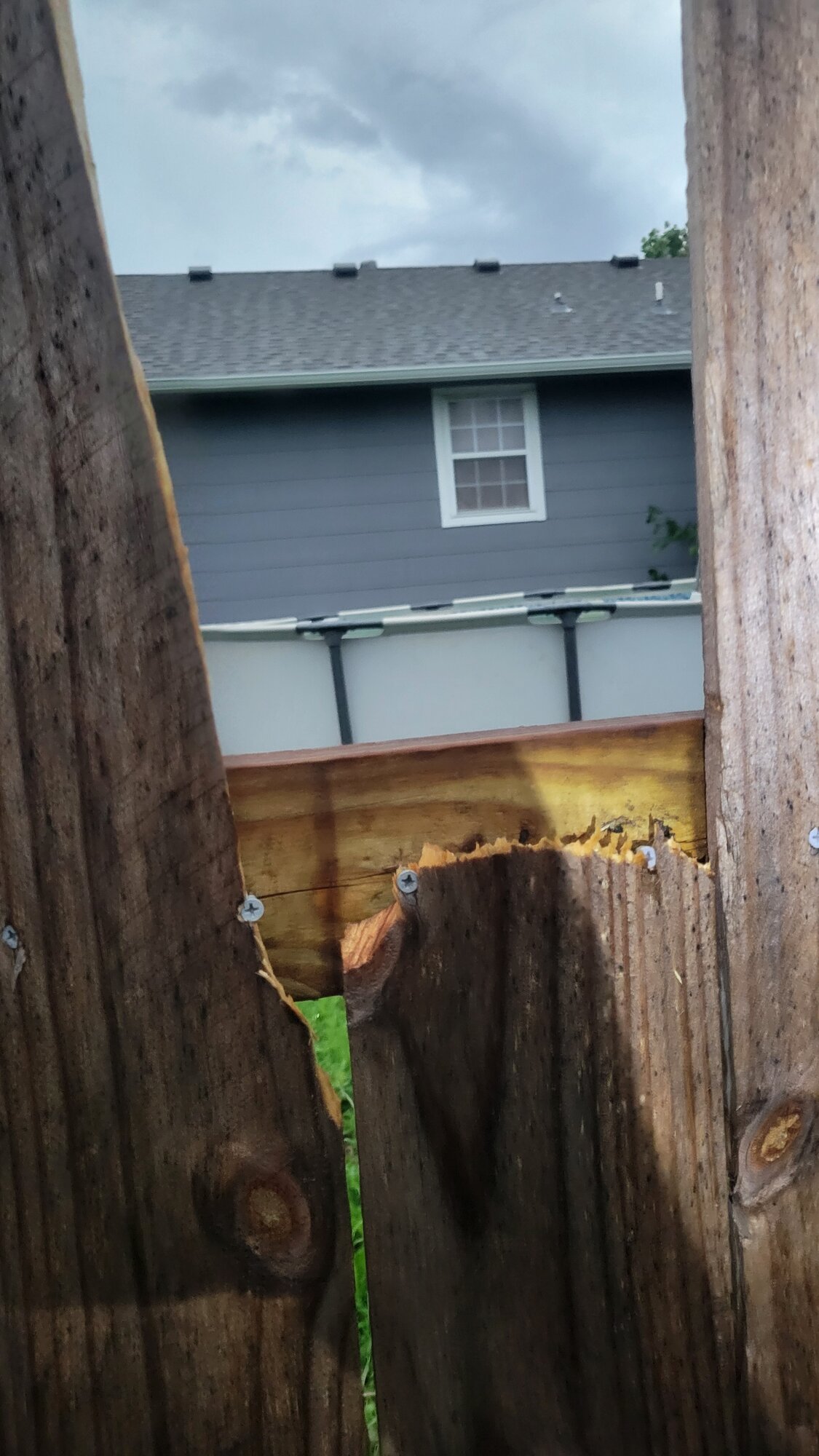 20250617_063408.jpg