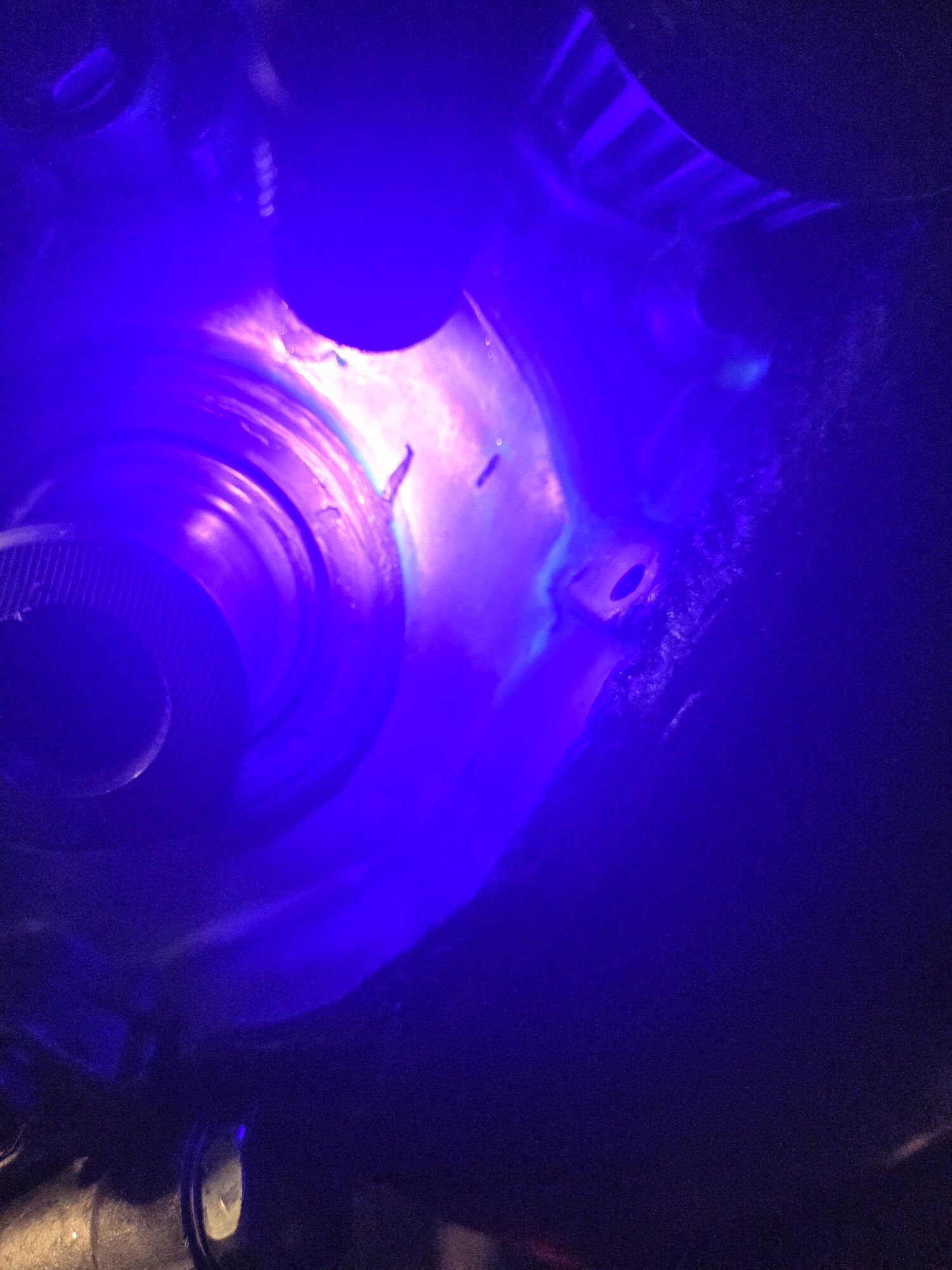 20250617_182844.jpg