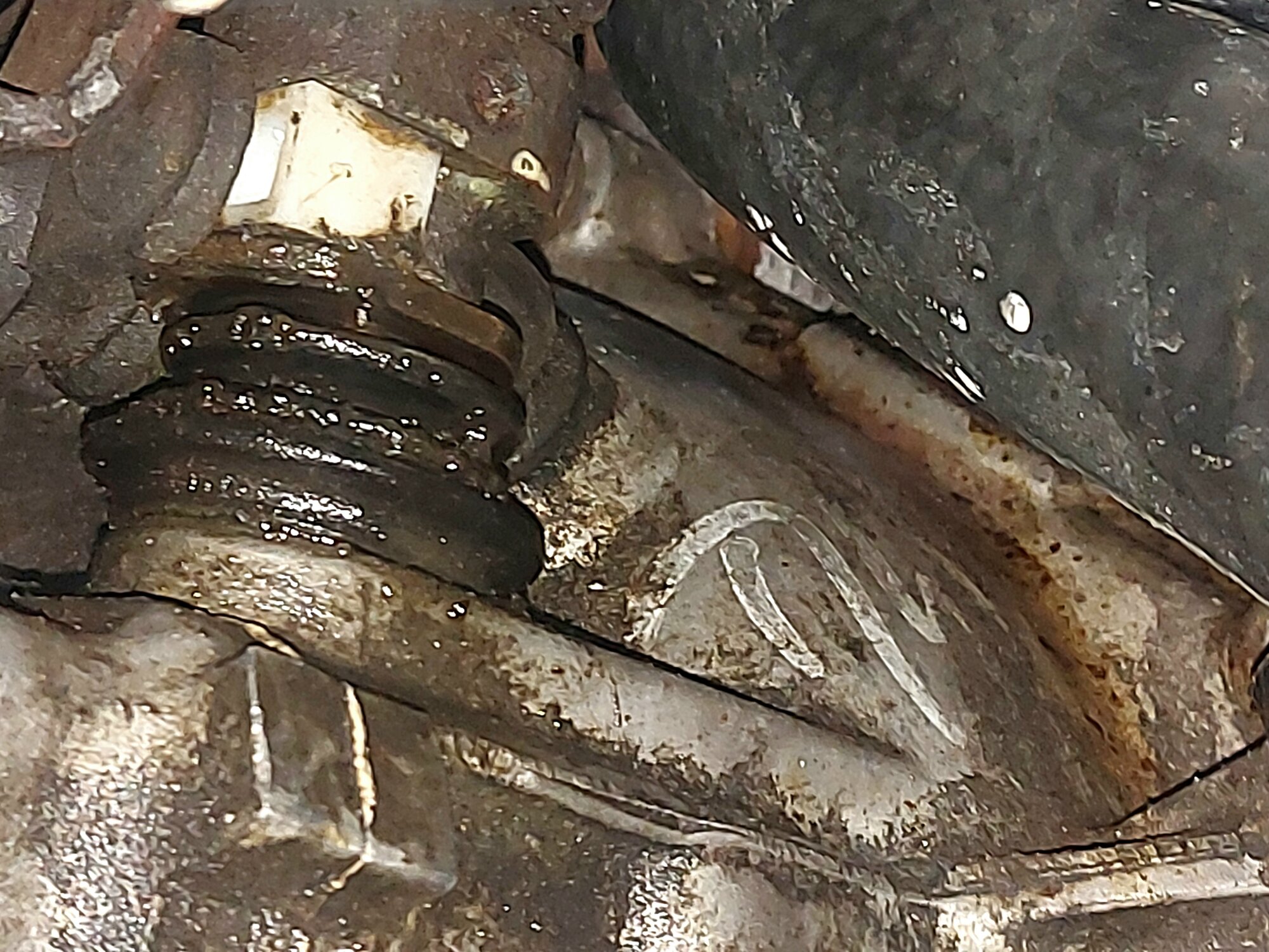 20260504_171327.jpg