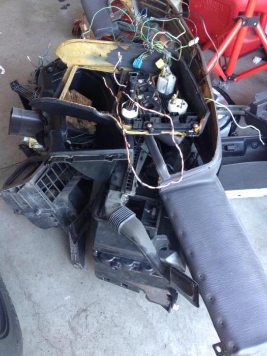 408966_10151237159145586_756474880_n.jpg