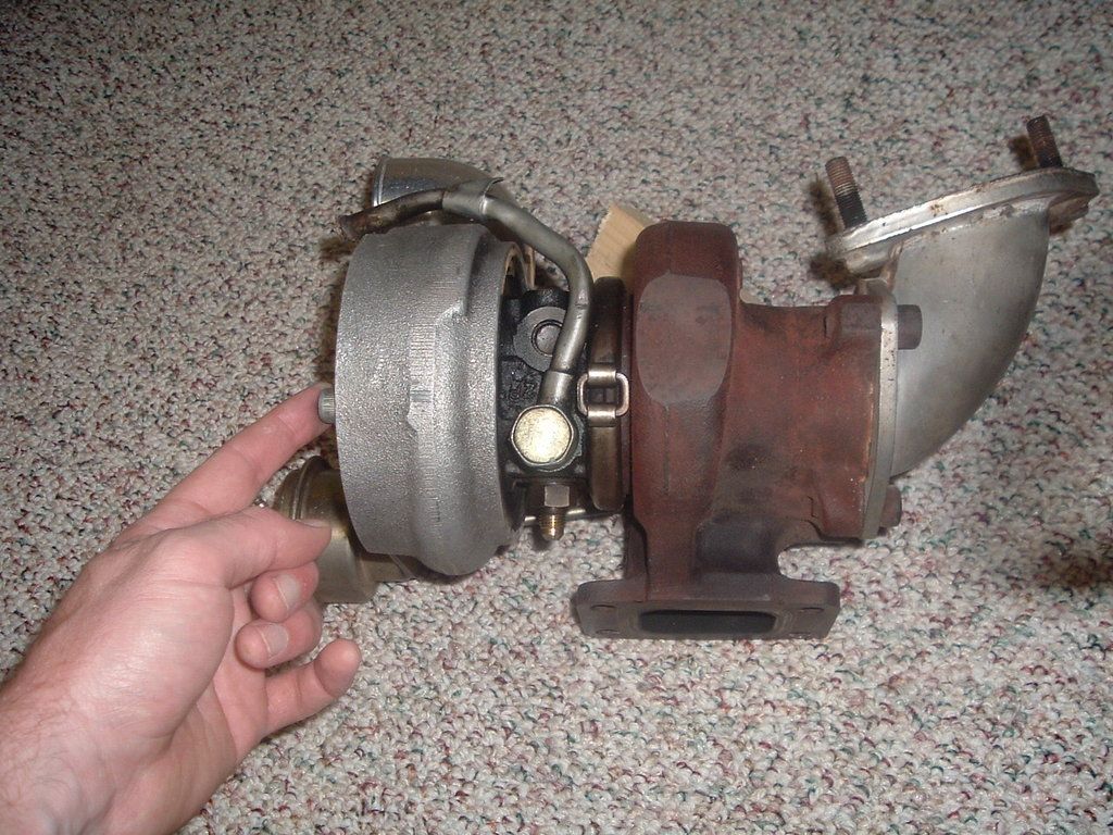 43pZNz.jpg