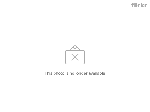 8875289953_e593062cb4_z.png