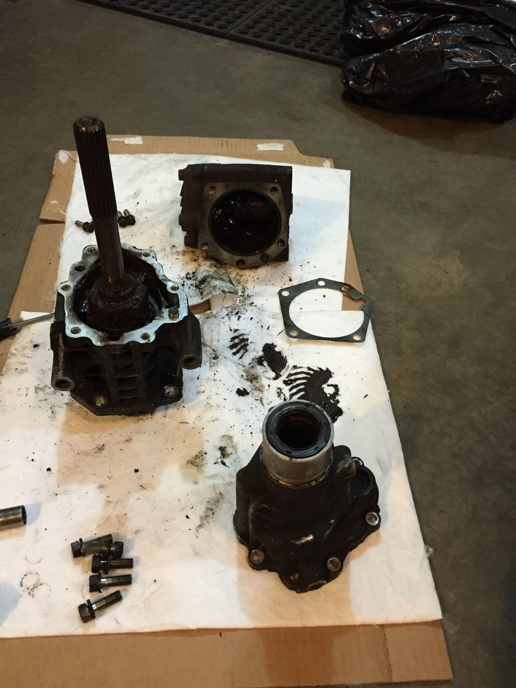 9505BFC5-FD4A-4247-A23E-AF5FBAA15D19_zpsqiyp6pit.jpg