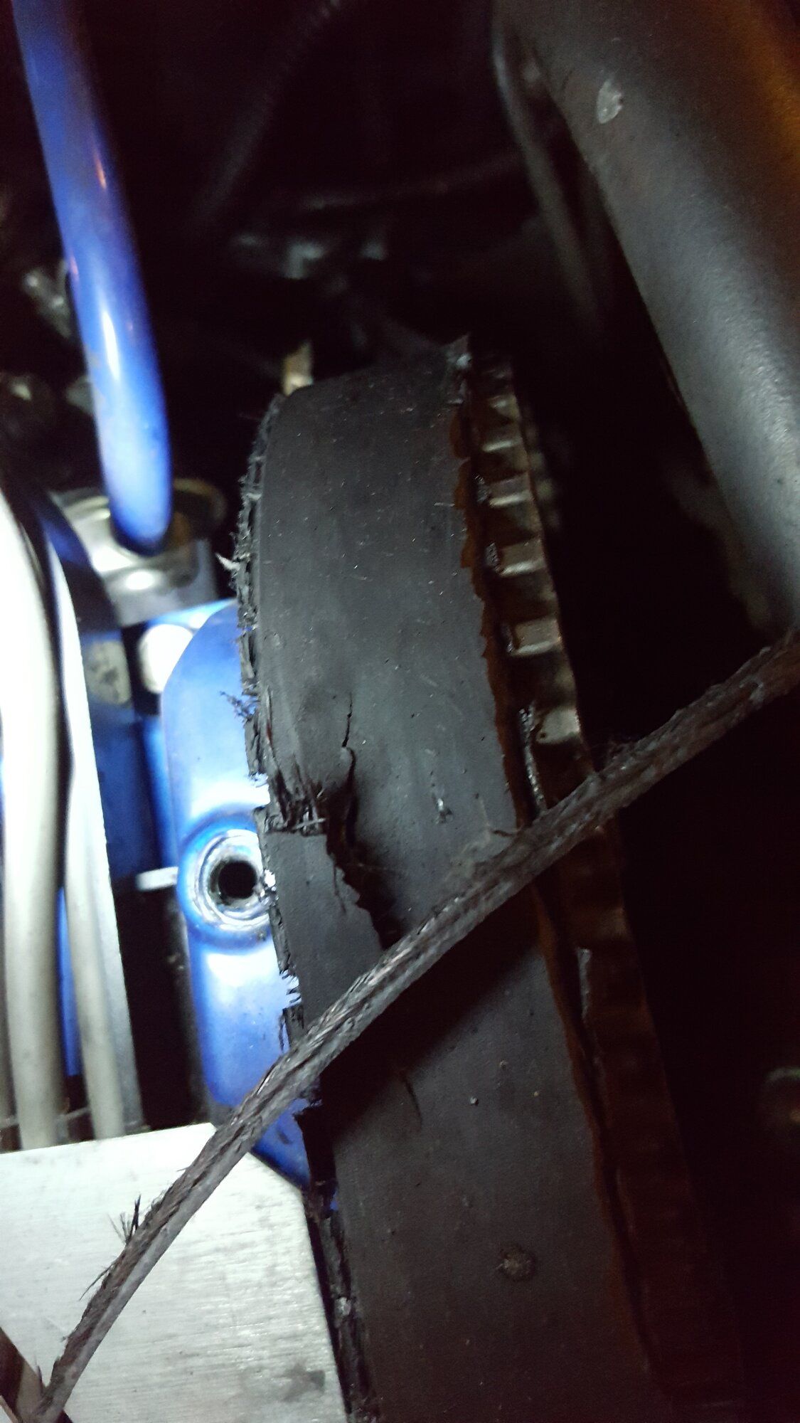 Belt_1.jpg