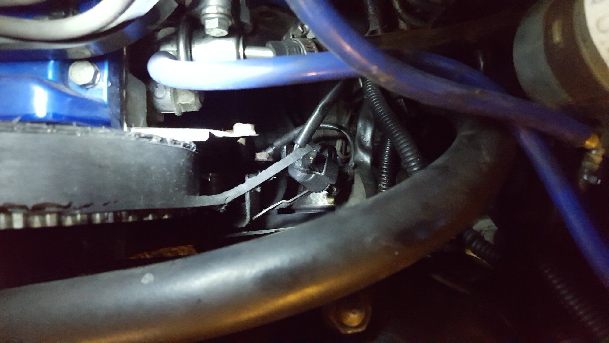 Belt_2.jpg