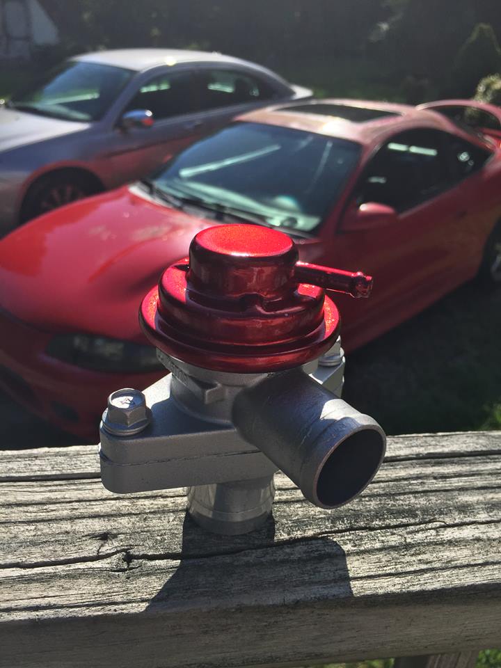 bov 2.jpg