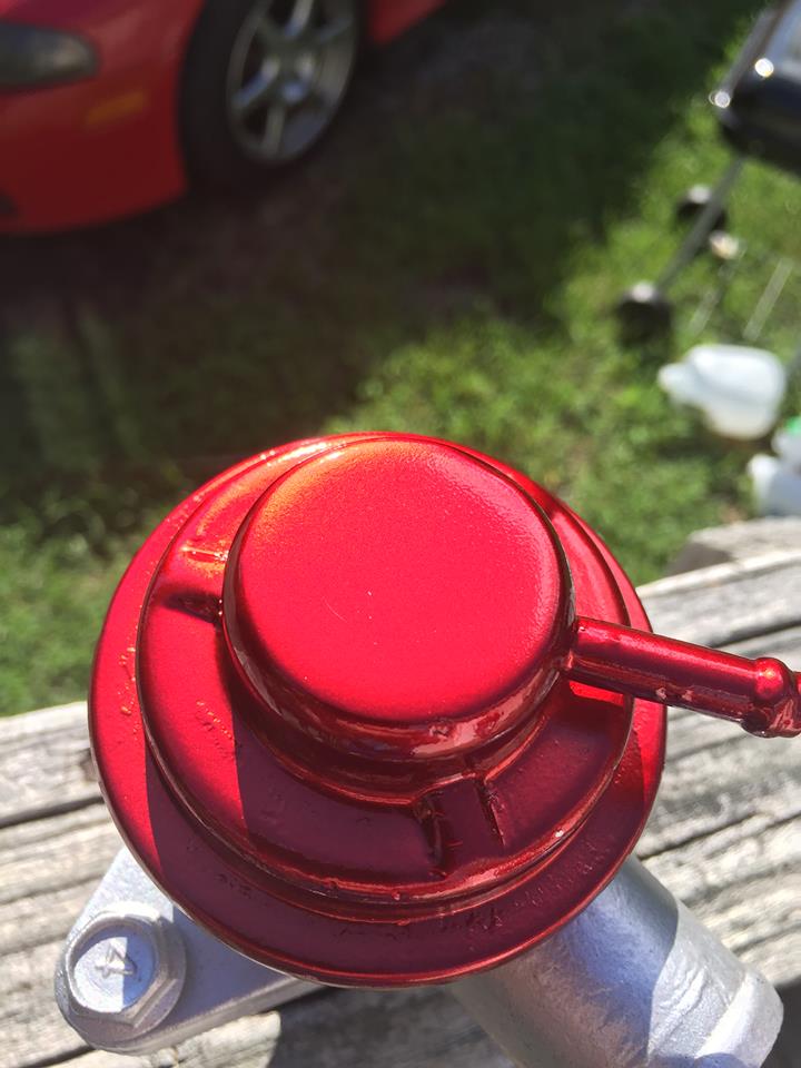 bov 5.jpg