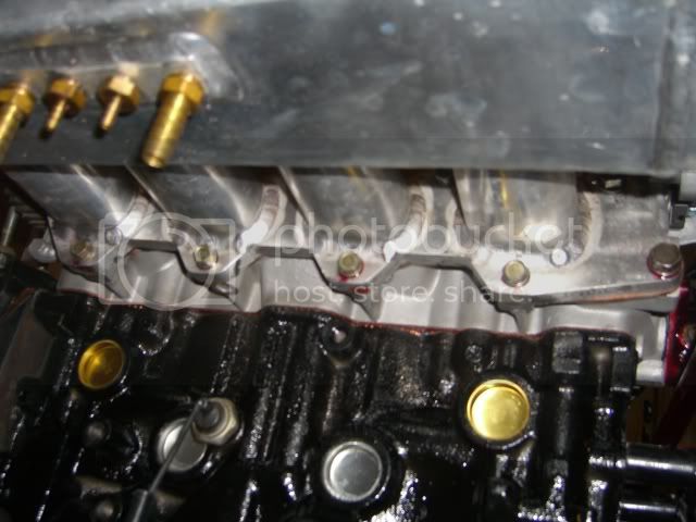 CIMG0248.jpg CIMG0248.jpg