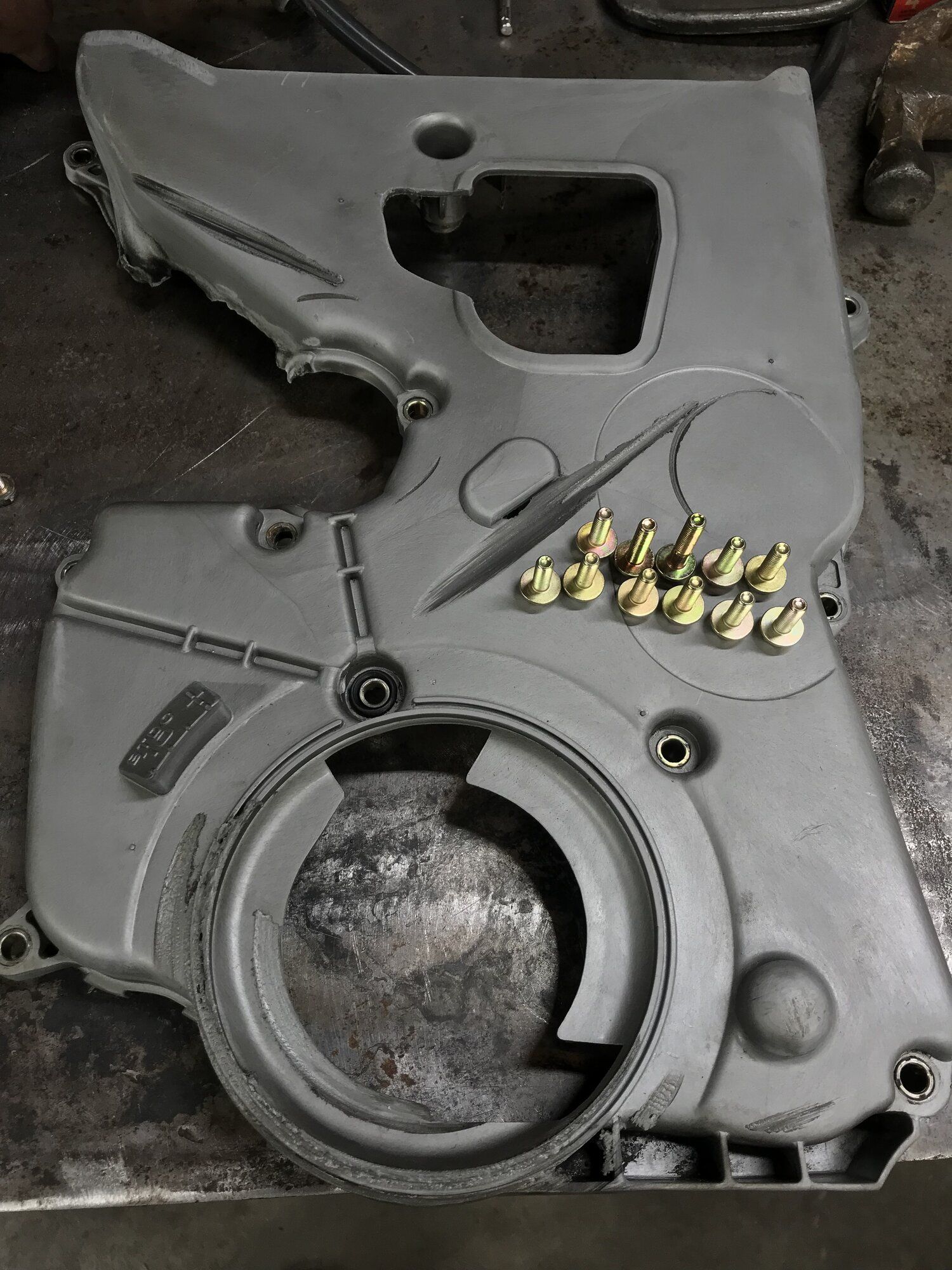 Clean Timing Cover with New Bolts.JPG