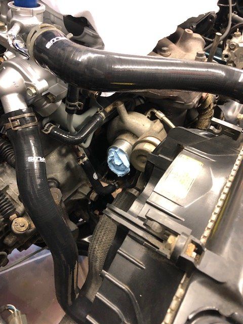 Coolant Hoses.jpg