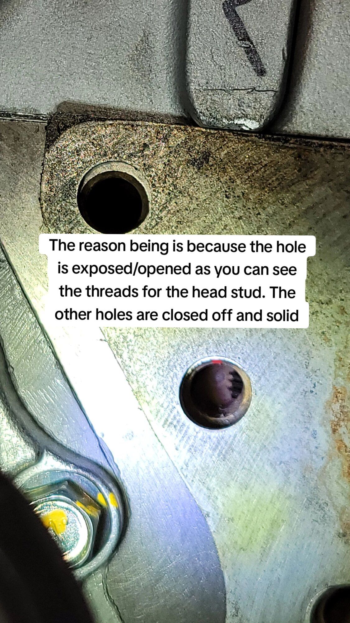 d76678724795f8331119e492cbafd04a_1710598649640_8.jpeg